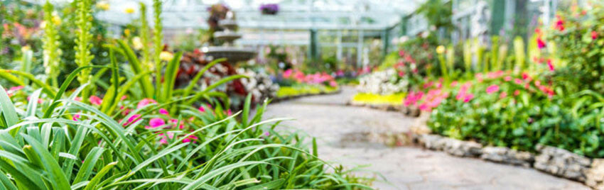 Greenhouse Humidity Monitoring