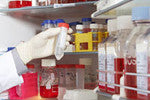 Medical Cold Storage