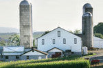 Livestock