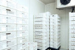 Food & Beverage Cold Storage