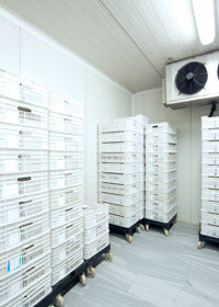 Food & Beverage Cold Storage